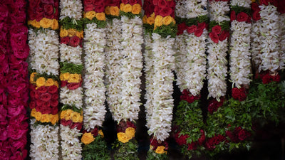 Vibrant garlands strewn with rose, tuberose and davana are a fixture of Tamil Nadu’s famous flower markets, where they are sold for use in celebration and daily worship.